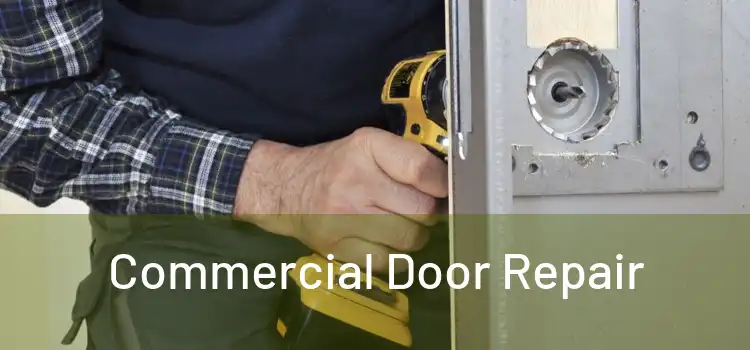  Commercial Door Repair 