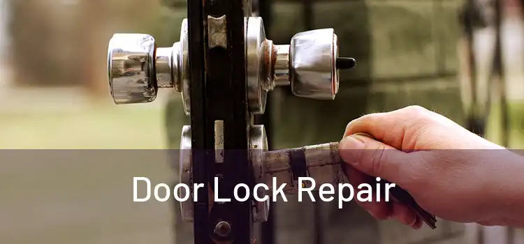 Door Lock Repair